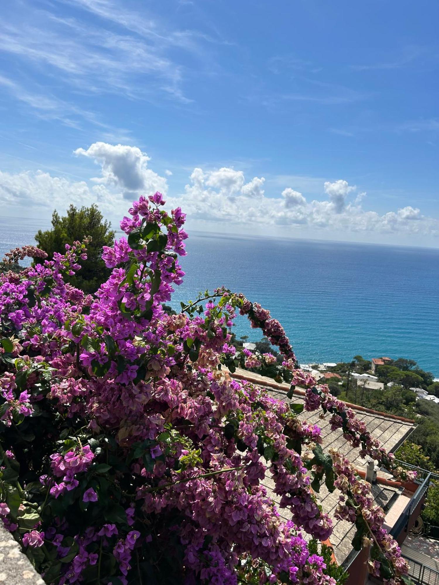 Beautiful Tigullio Lavagna